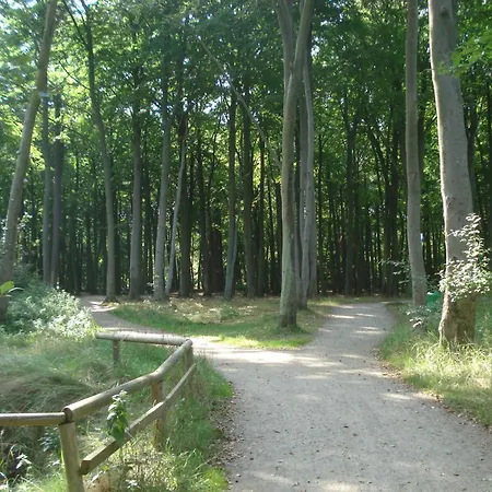 Morgenroete In Der Strandstrasse *