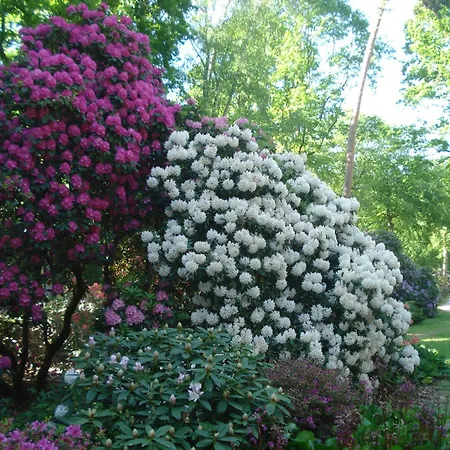 Lejlighed Morgenroete In Der Strandstrasse *