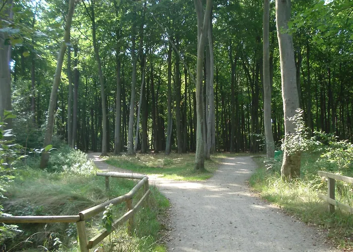 Morgenroete In Der Strandstrasse *